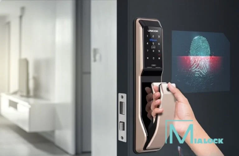 Thiết kế kiến trúc, MEP và kết cấu — ảnh 3