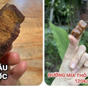 COMBO : HỒNG TÁO BỤI HỮU CƠ- ĐƯỜNG NÂU THẢO DƯỢC- ĐƯỜNG  GỪNG SẢ MUỐI