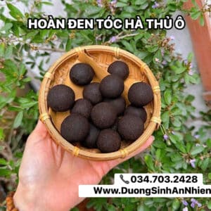 VIÊN HOÀN ĐEN TÓC HÀ THỦ Ô RỪNG Hũ 500Gr