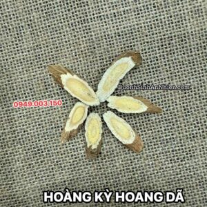 HOÀNG KỲ HOANG DÃ HÀNG DƯỢC (hàng order)