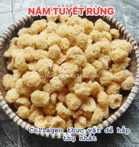 namtuyetrung